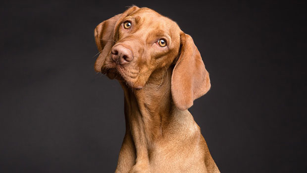 РЕВОЛУЦИОНАРНО ОТКРИЋЕ: Научници тврде да ће ускоро људи да живе 130 година у телу двадесетогодишњака